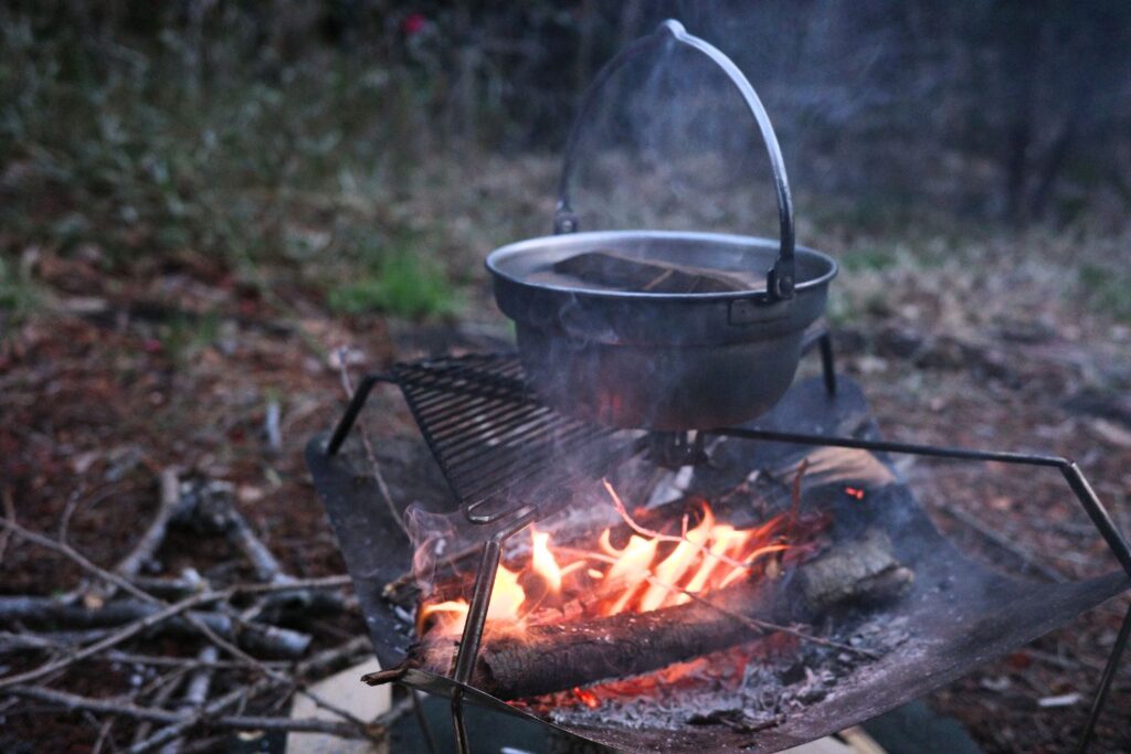 バンドック「Lotus」