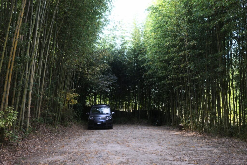 クラブ西宮の竹林サイト