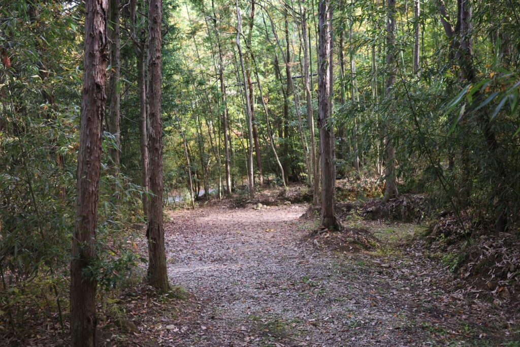 クラブ西宮林間サイト
