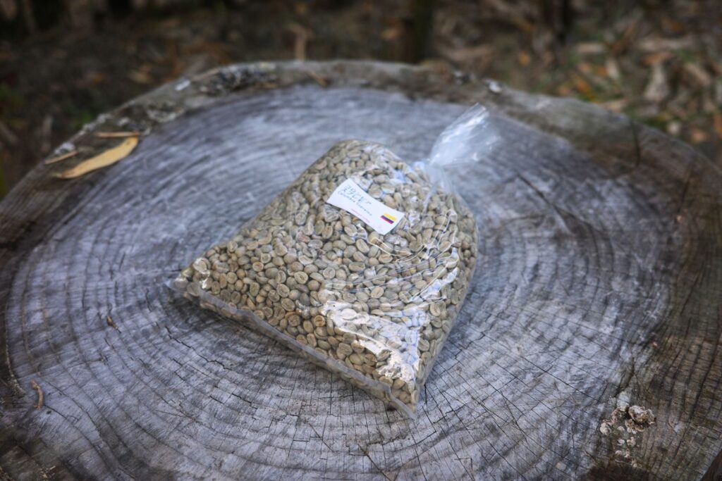 切り株に置いた生豆