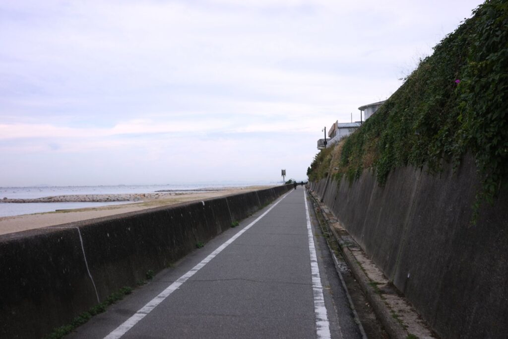 浜の散歩道