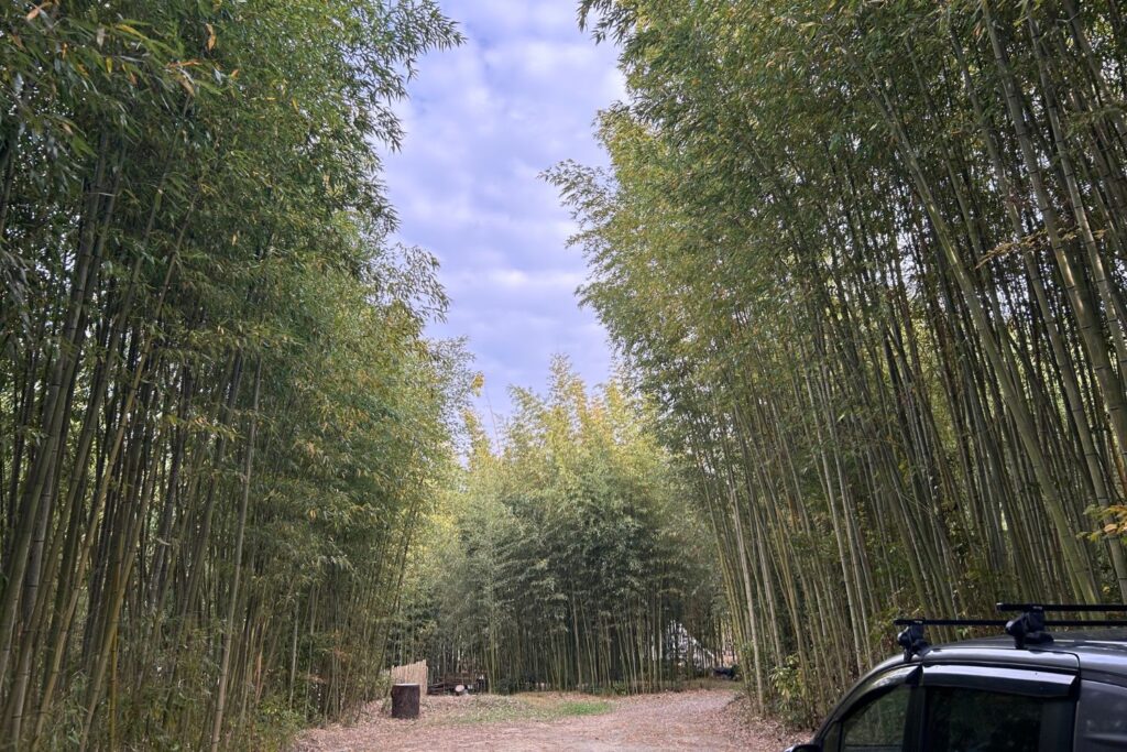 クラブ西宮竹林サイト