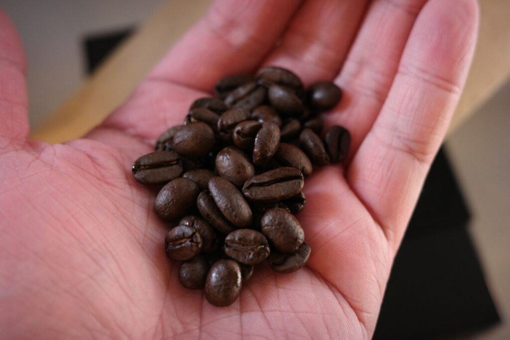 なないち珈琲 エルコロゾ【有機栽培】　エルサルバドル