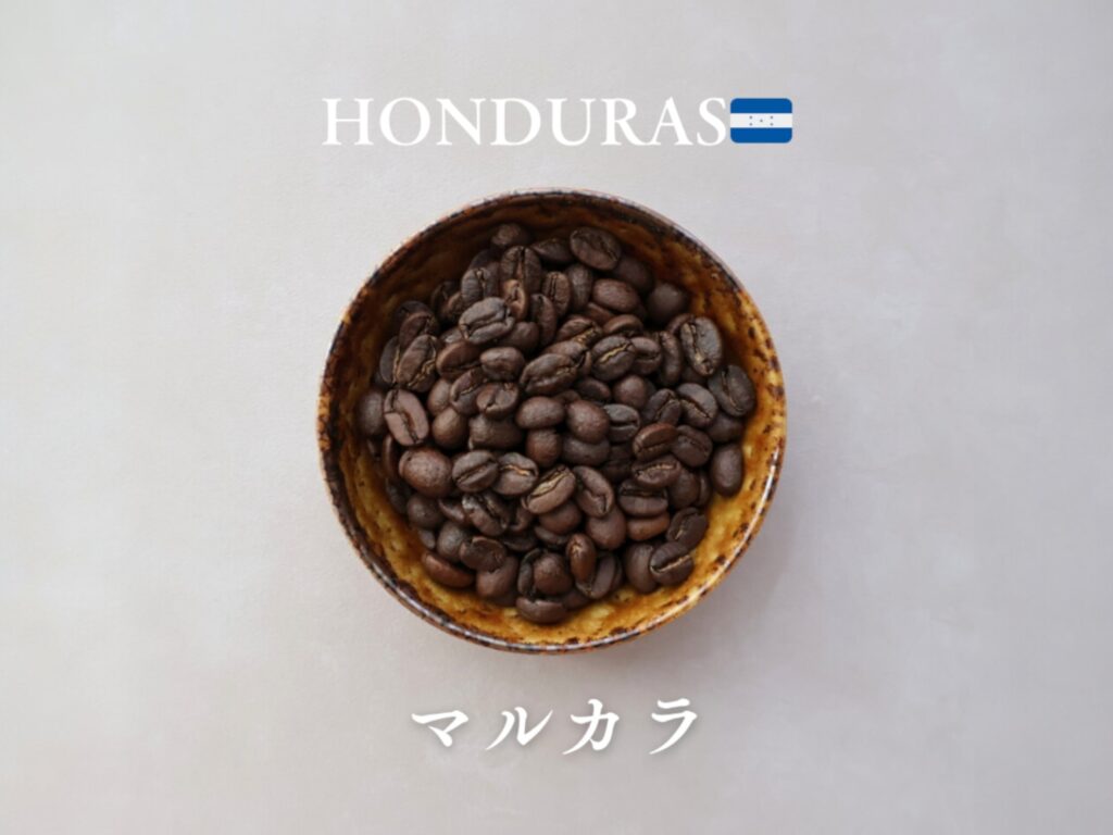 なないち珈琲【有機栽培】マルカラ　ホンジュラス