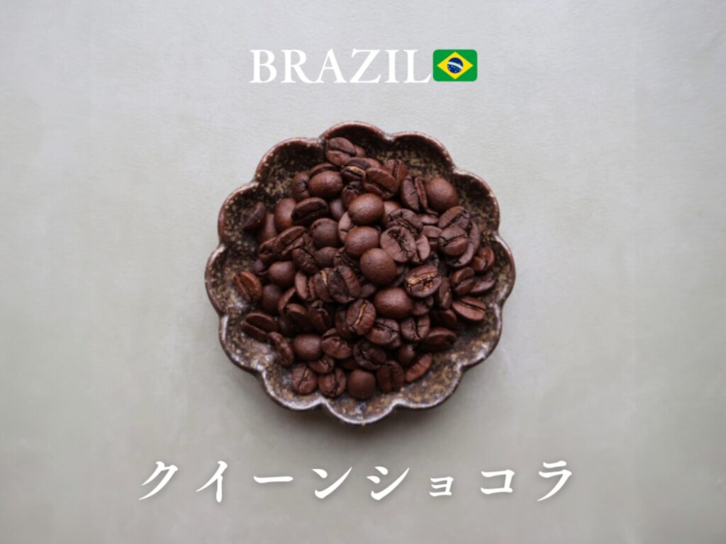 クイーンショコラ　ブラジル