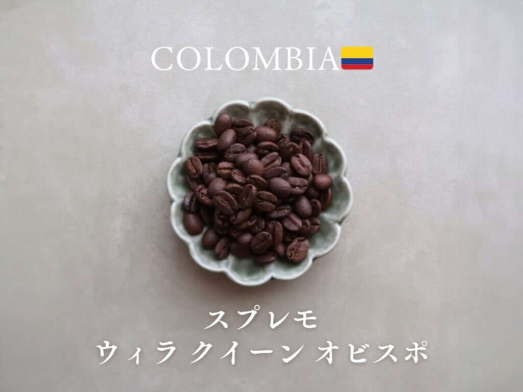 スプレモ ウイラ クイーン オビスポ　コロンビア