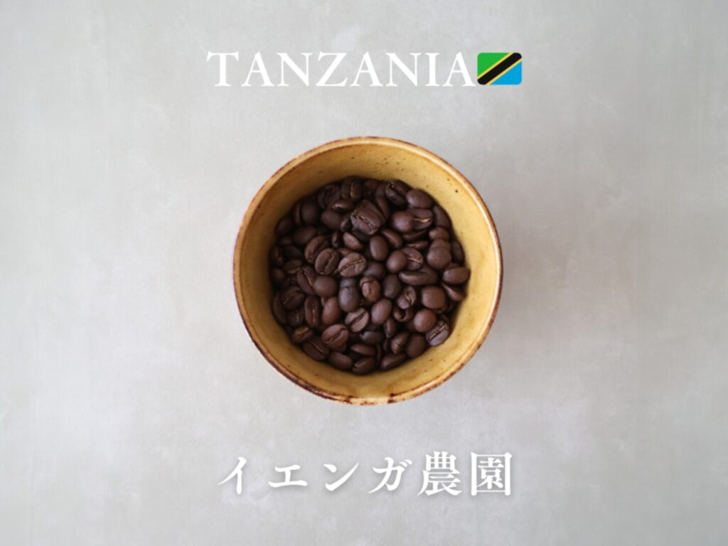 トップ イエンガ　タンザニア