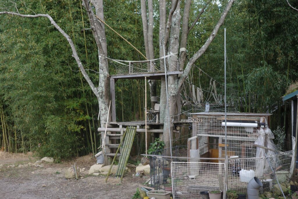 クラブ西宮のツリーハウス