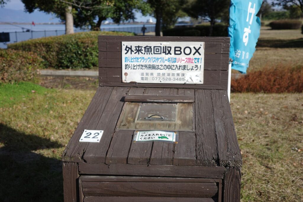 外来魚回収BOX