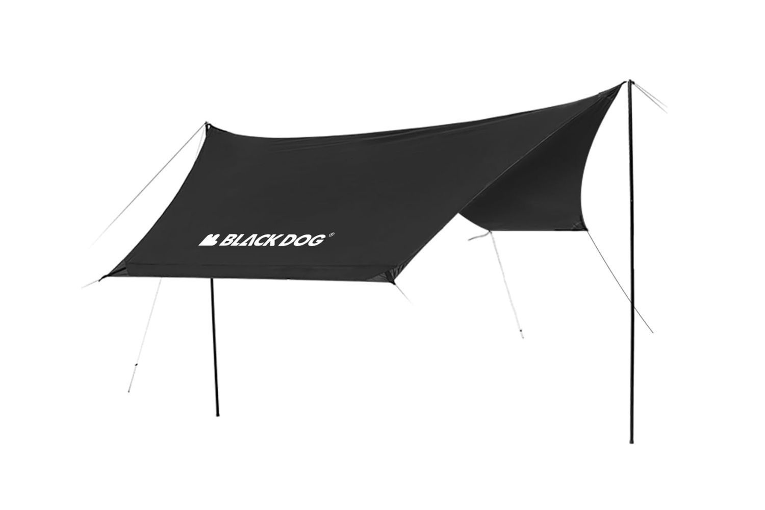 ブラックドッグ「タープ」