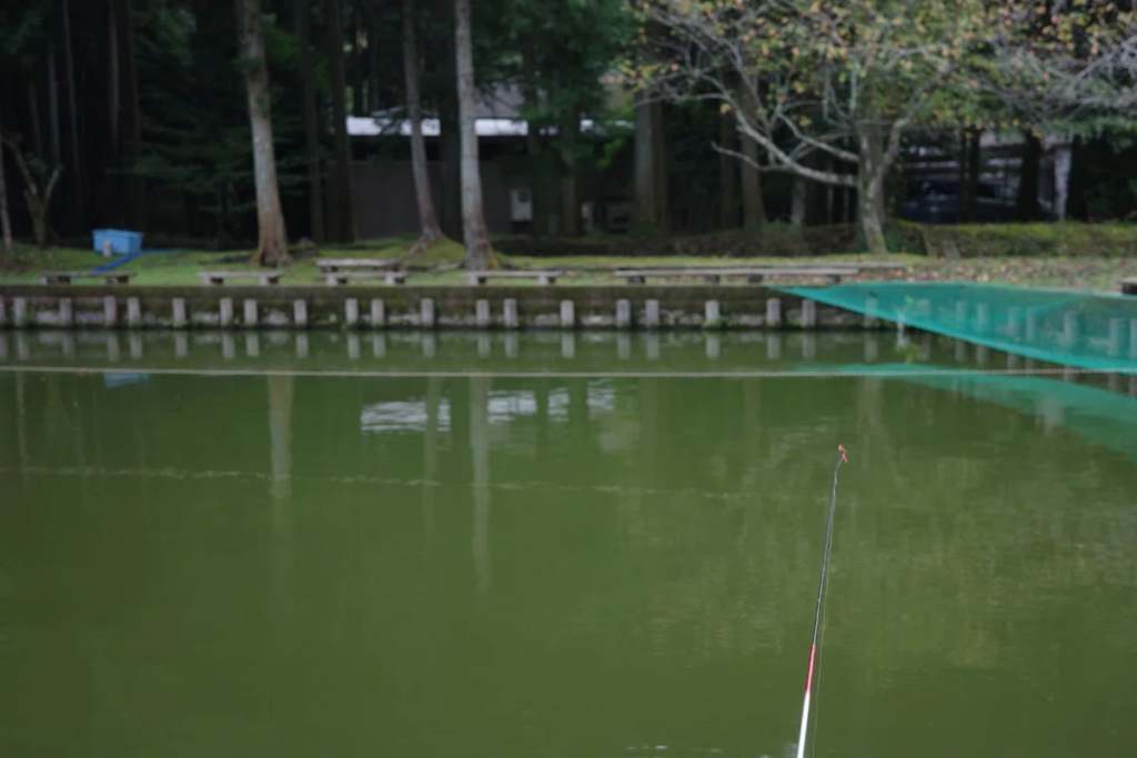 ユニトピアささやまの釣り堀