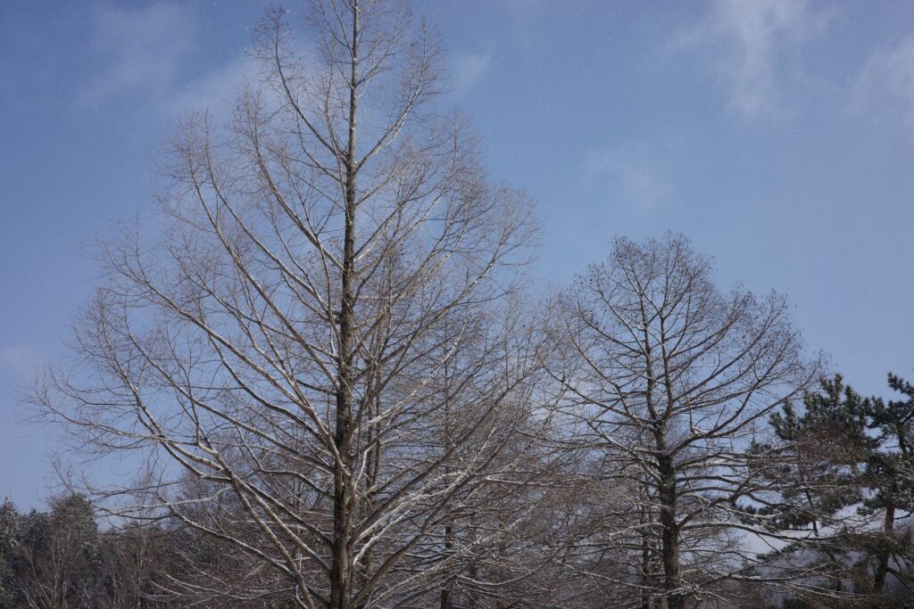 ユニトピアささやまの景色