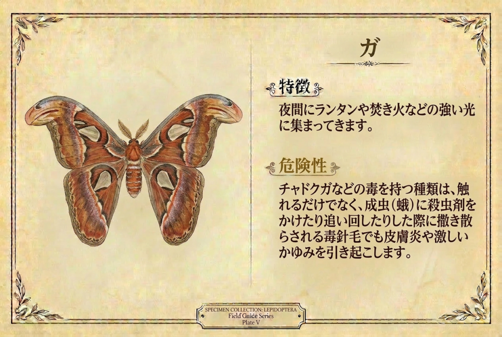 ガのプロフィール