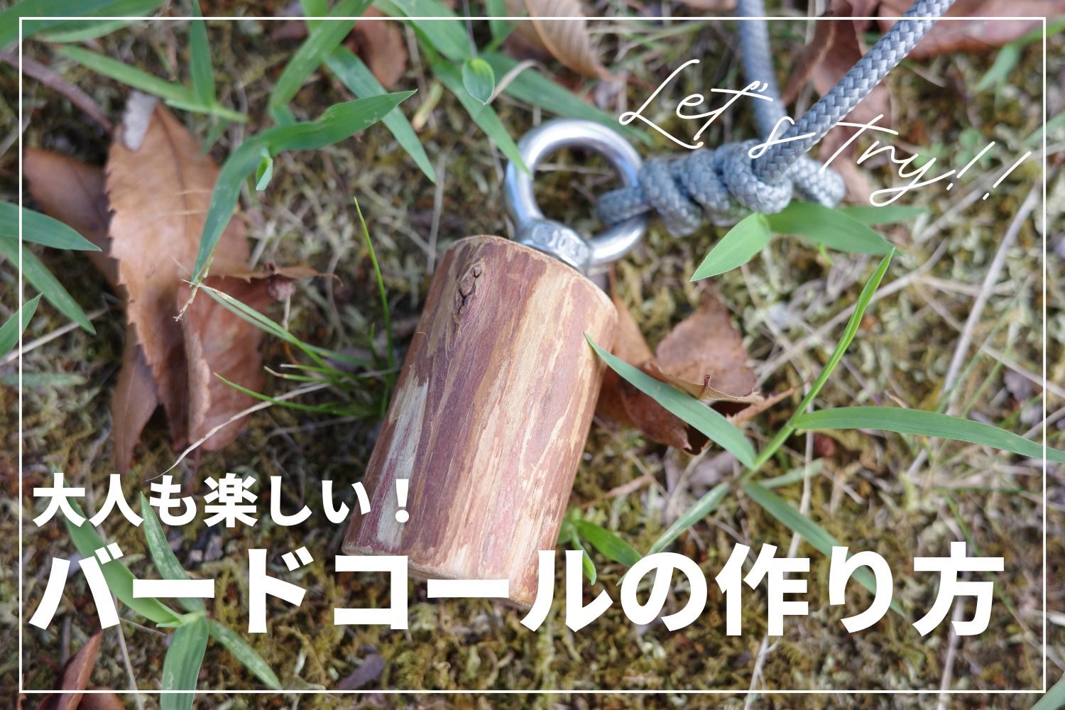 【大人も楽しい】バードコールの作り方完全ガイド | おしゃれに作るコツも解説