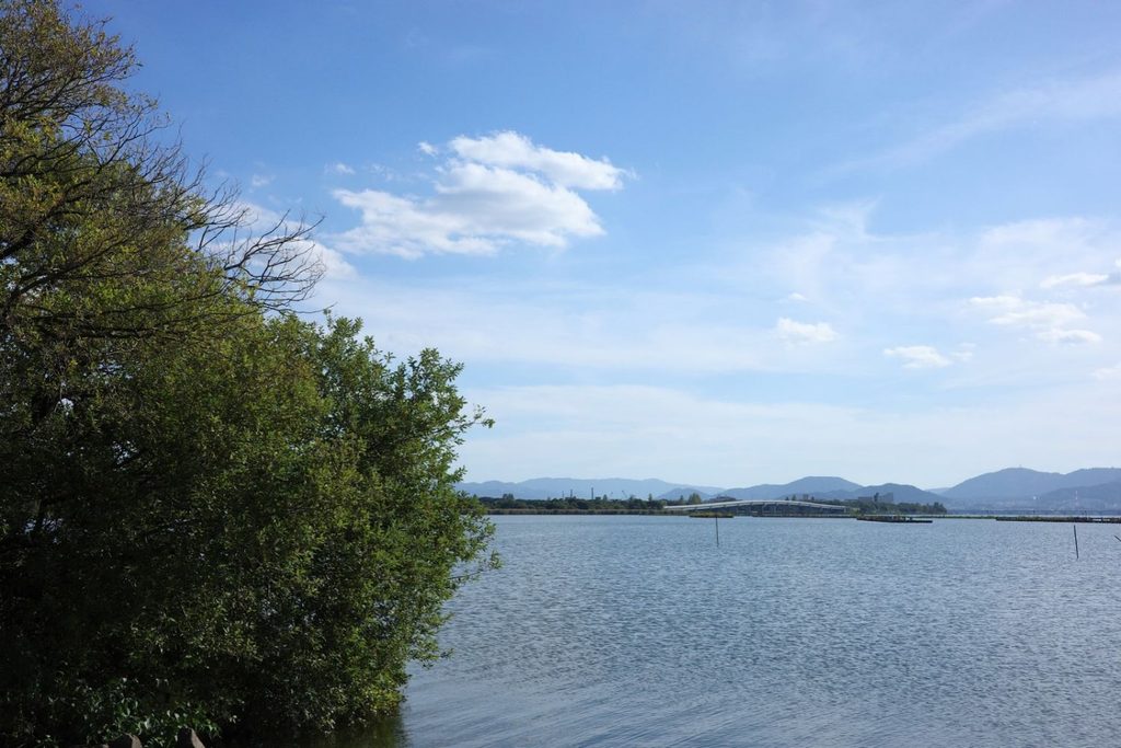 湖岸緑地「北山田1」の風景